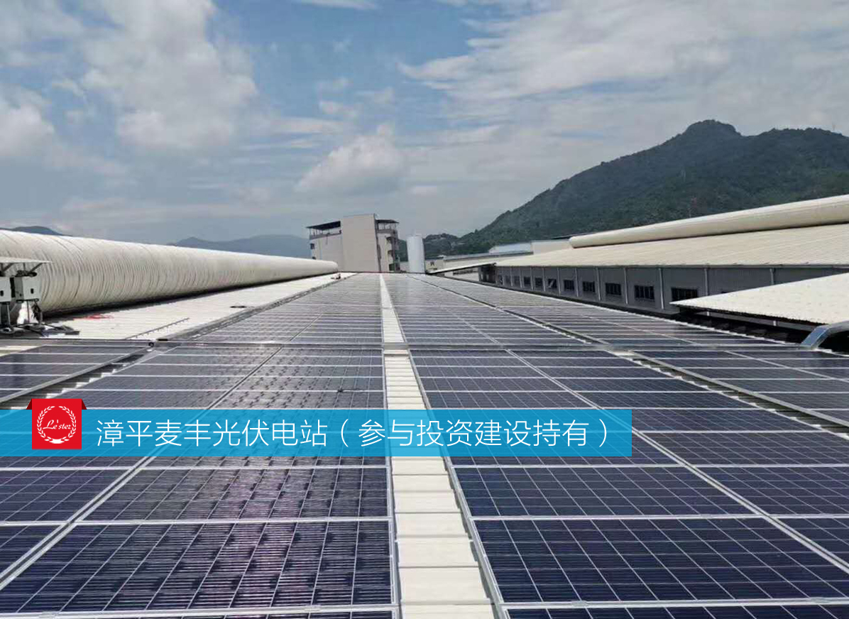 萊爾斯特參與投資建設持有的漳平麥豐光伏電站圖1