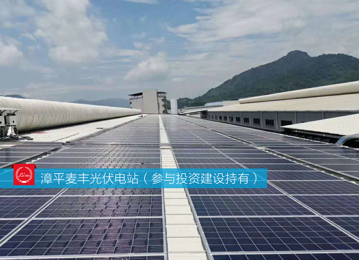 萊爾斯特參與投資建設持有的漳平麥豐光伏電站圖5